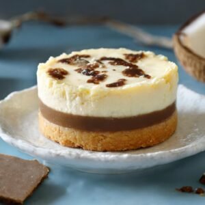 S'more Mini Cheesecake